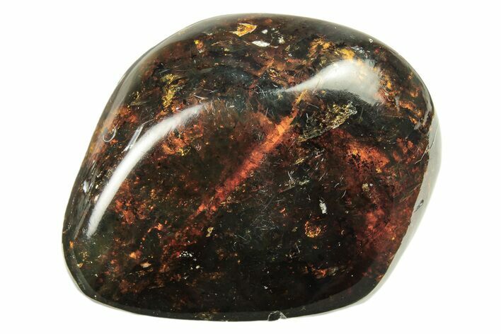 Polished Chiapas Amber ( g) - Mexico #274431